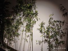 -六朝博物馆