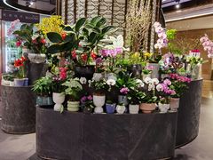 -Olé精品超市(广州太古汇店)