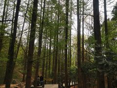 -国家植物园南园