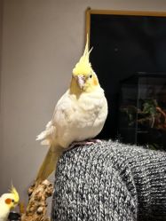 -Zoolung Zoolung动物主题公园(海信广场店)