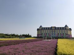 -百万葵园