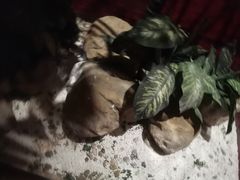 -世外桃源水疗会(皇庭彩园店)