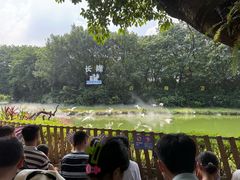 -广州长隆飞鸟乐园