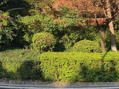 -仙岳公园