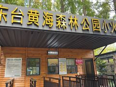 -黄海国家森林公园