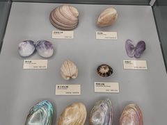 -天津古林古海岸遗迹博物馆