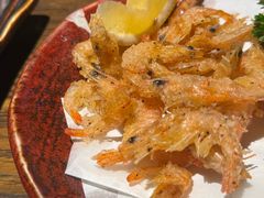 -鸟屯(三里屯店)