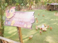 -海南热带野生动植物园