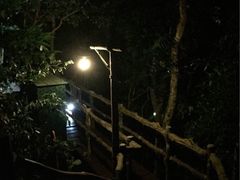 亚龙湾人间天堂-鸟巢度假村-三亚亚龙湾人间天堂鸟巢度假村