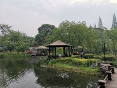 -成飞公园