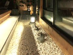 -小茶闲舍·观景商务茶馆(广州塔店)