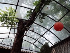 -zarah(鼓楼店)
