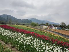 -径山花海