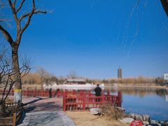 -西海子公园