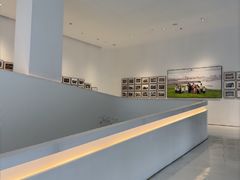 -罗红摄影艺术馆