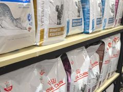 -渲嗳动物医院(异宠·复杂内科转诊中心·玖洲道富华里分院)