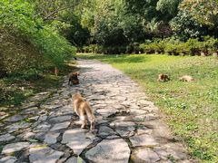 -南山风景名胜区