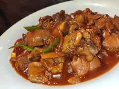 -阿五黄河大鲤鱼(纬三路店)