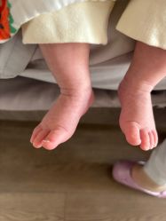 -安琪朵朵独栋花园月子中心