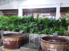 -山湖温泉