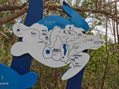 -广东惠东海龟国家级自然保护区