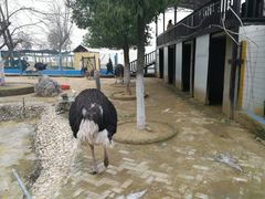 -武汉紫薇都市田园