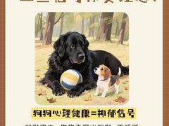 -佩兹宠物医院肿瘤专科·眼科·牙科(黄浦店)