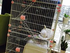 -熊猫邮局(少城店)
