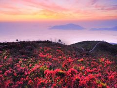 -瑞安圣井山景区