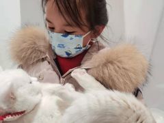 -COLOR PETS 撸猫馆·购猫·猫咖(长风大悦城店)