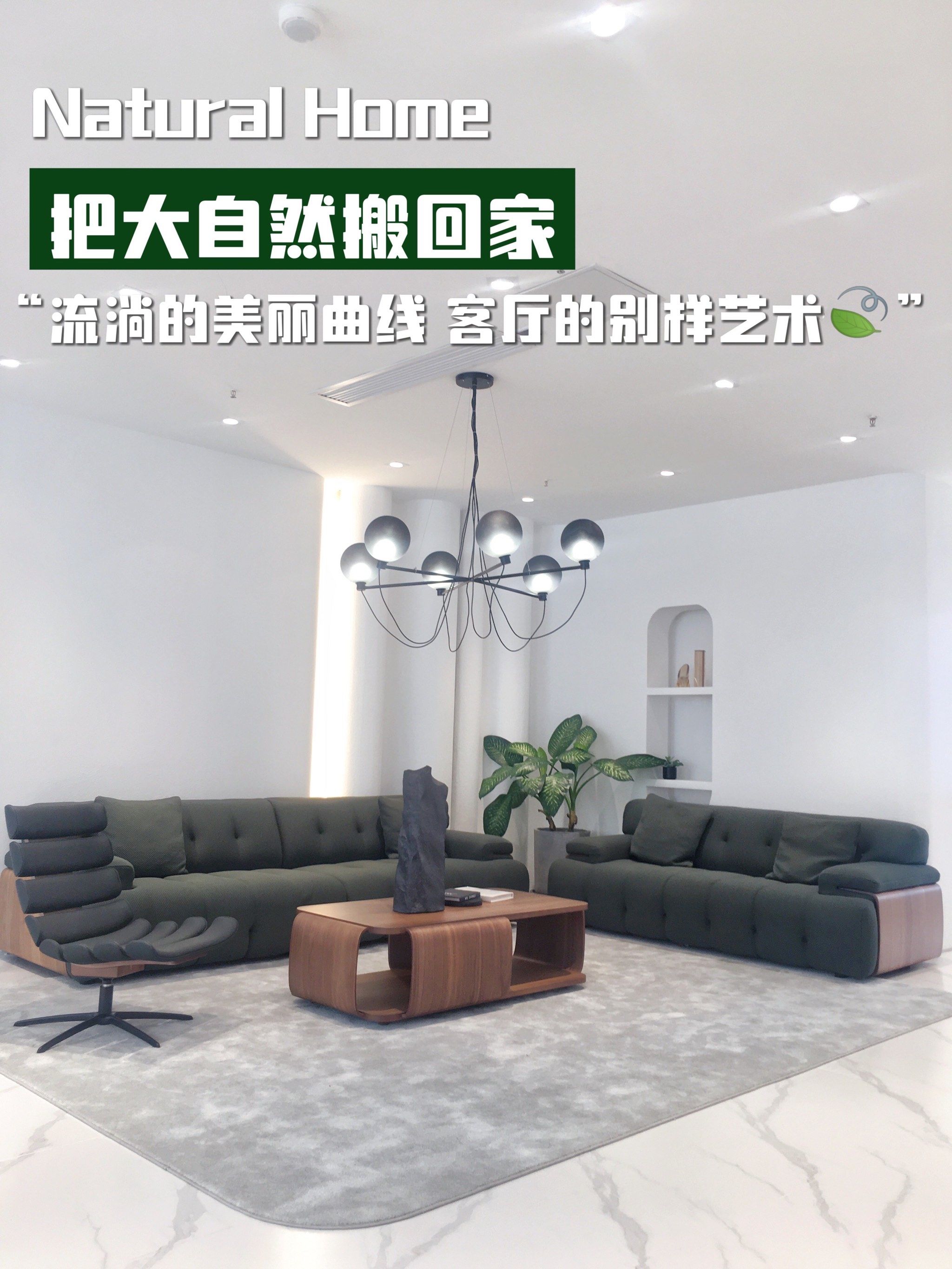 盲选不踩雷6015花苞沙发09快把大自然搬回家