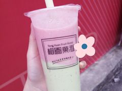 -桐园果汇(湖贝店)