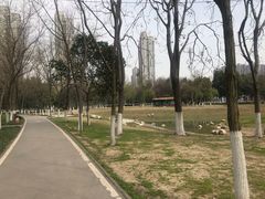 -后襄河公园