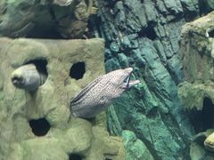 -珠海长隆海洋王国