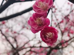 -重庆彩云湖湿地公园