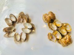 -何记花甲(海岸城旗舰店)