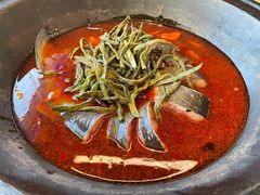 -鸽子刘铁锅炖鱼(劲松店)