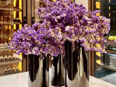 -四季酒店·空中花园 Aria on 9