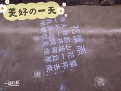 -花溪雨·森林餐厅(石基店)