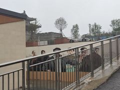 -白鹿原影视城