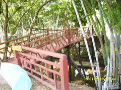 -林丰温泉度假山庄
