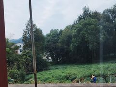 -野蔓果·山野菜(西湖景区·龙井茶田店)