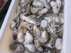 -一口猪海鲜浑锅·东北家常菜