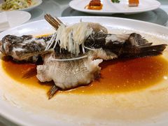 清蒸笋壳鱼-利苑酒家(华熙国际店)