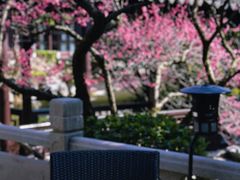 -杭州西子湖四季酒店-WL BISTRO西湖餐厅(灵隐路店)