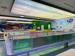 -海豚啵啵体智能游泳馆(惠山万达广场店)