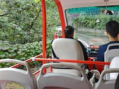 -金狮洞国家地质公园