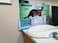 -安安宠医·臻爱宠物医院·宠保定点(营门口路分院)