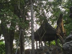 -西园戒幢律寺