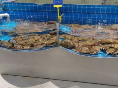 水产区-汇丰海鲜(东亚·世纪城文脉苑店)